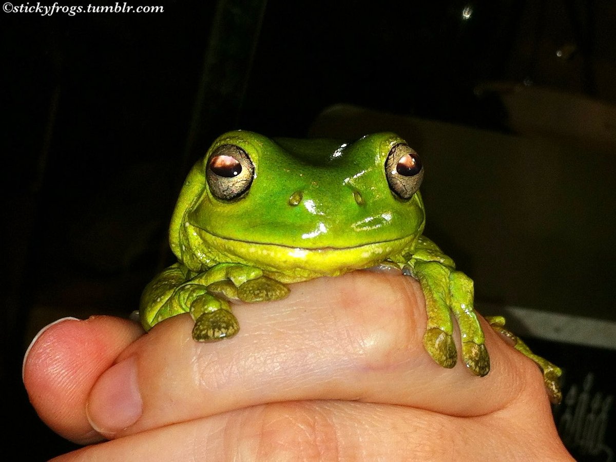 Today’s Smiling Jens is brought to you by a Hand Taxi ride and a Treatie!