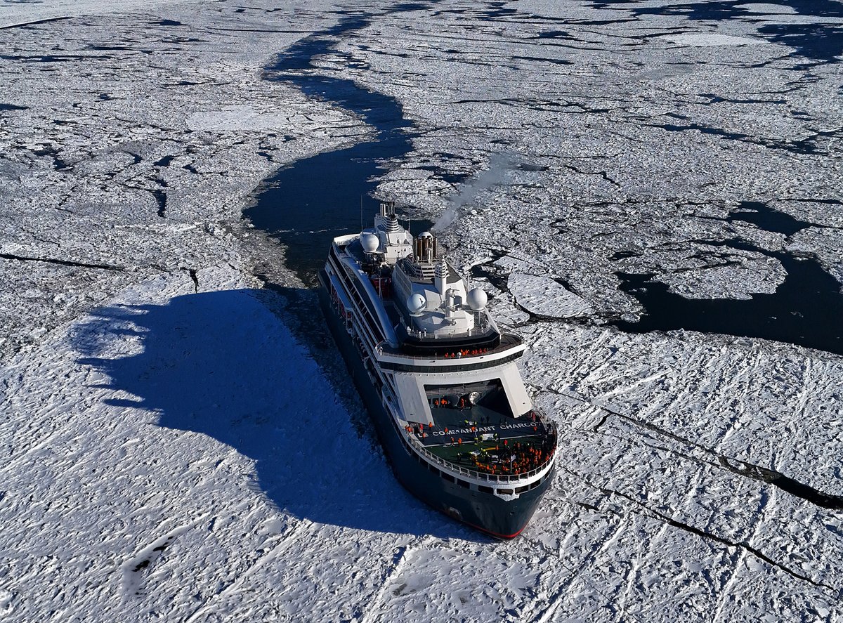 Port de Montréal tweet media