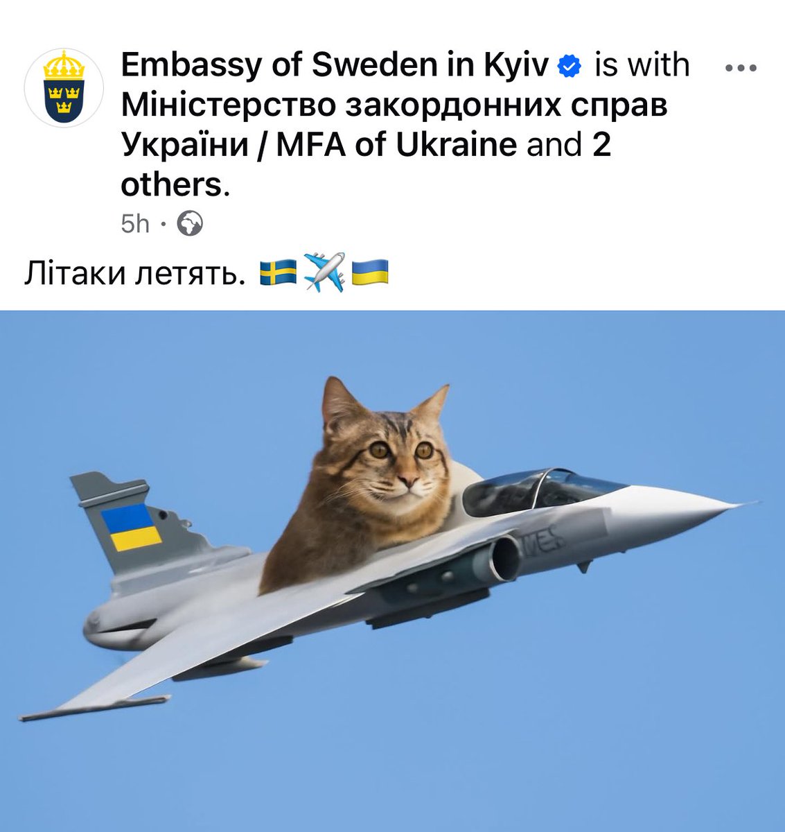 maria_avdv's tweet image. Sweden is absolutely nailing it. 
🇸🇪 ✈️ 🇺🇦