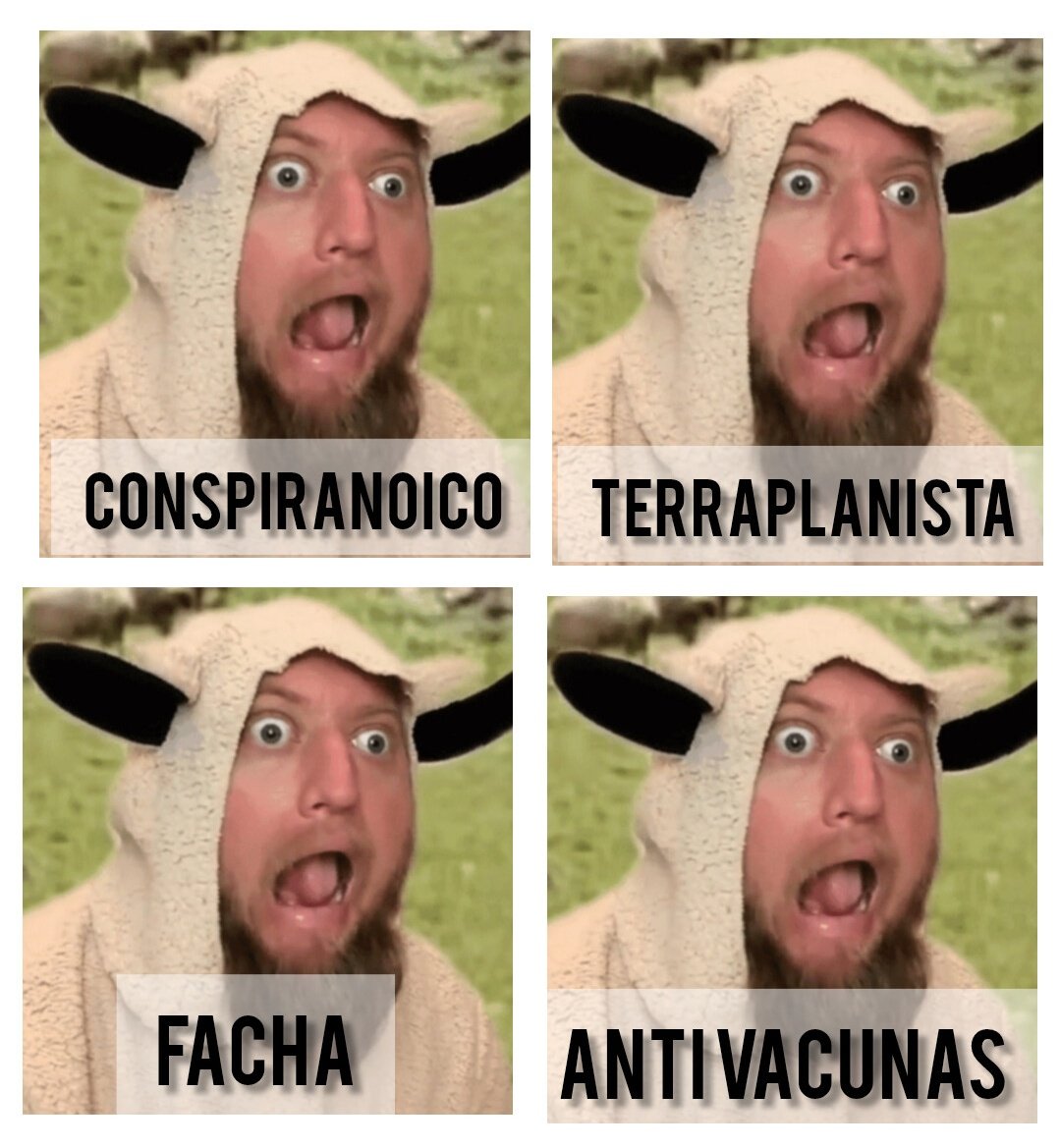 Misifu72's tweet image. Cuando te quedas sin argumentos para defender el discurso oficial que te contó la 📺…