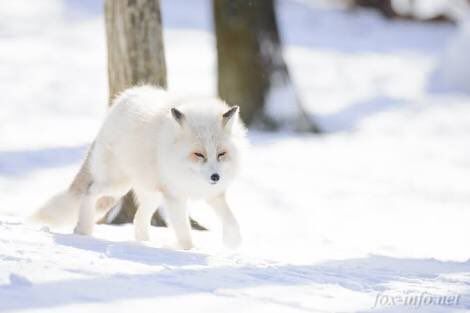 Alanna Gill (@ares18325) on Twitter photo 