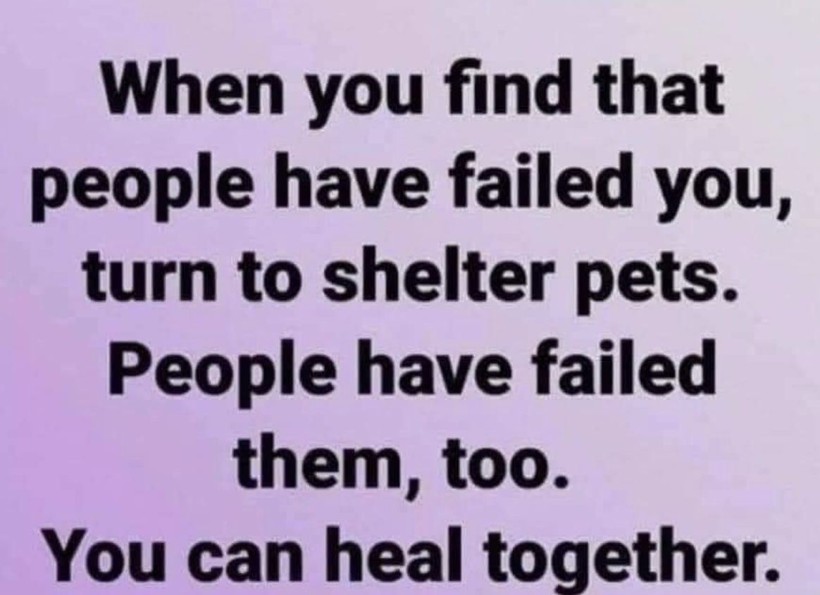 <a href="/catsareblessing/">We don't deserve cats 😺</a>