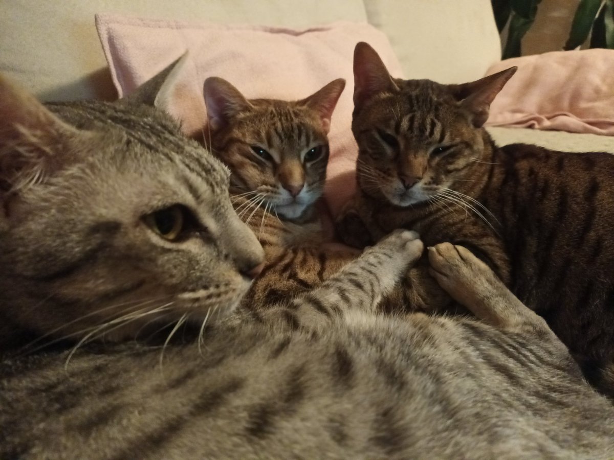 Arto Hyvönen tweet media