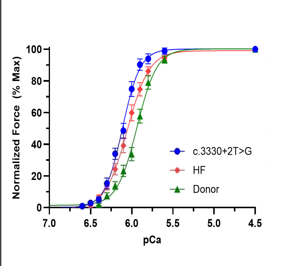CircRes's tweet image. Bennett &amp;amp; colleagues found a rare homozygous #MYBPC3 variant provides unique human evidence that loss of cMyBP-C alters cross-bridge kinetics and impairs #cardiac function. Learn more at ahajrnls.org/4oyOvhL