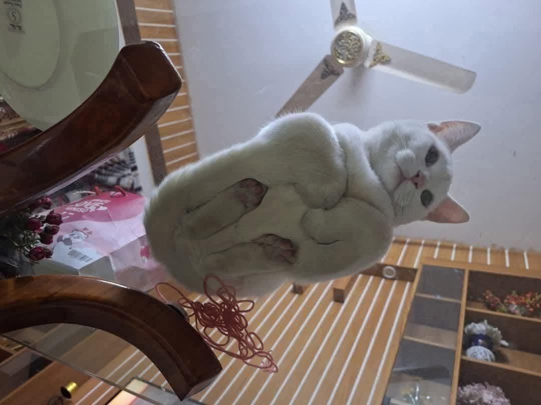 Ventajas de tener una mesa de cristal:
