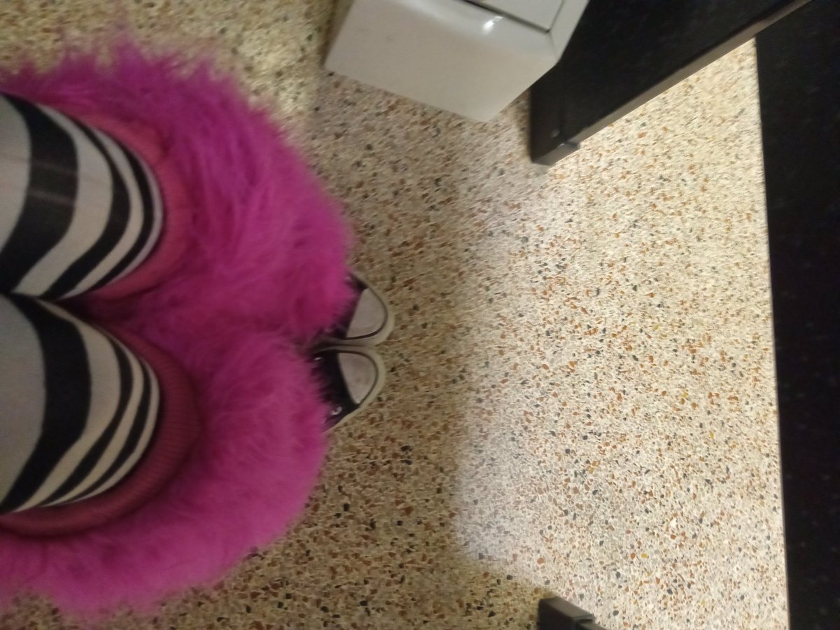 salfisherreal's tweet photo. Worst part ab being alternative is hoes gonna know itsme skipping 😭 https://t.co/FAzLxglnK4
