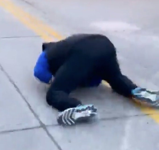 𝗫𝗩𝗜𝗜𝗜: 𝗧𝗵𝗲 𝗠𝗼𝗼𝗻 tweet media