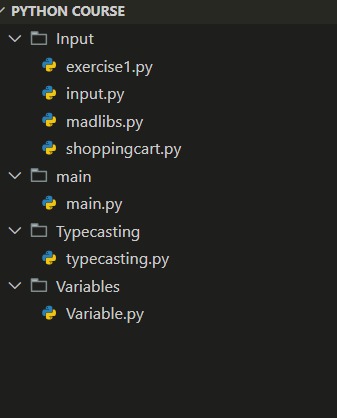 vvv_cube0's tweet image. Day 1 of #100DaysOfCode
I’m excited to start learning Python as a first-year engineering student! 🐍
Today, I covered basics like variables and user inputs and created a simple Mad Libs game! 😄
I’ll share my progress each day as I improve! 💻
#100DaysOfCodeChallenge
