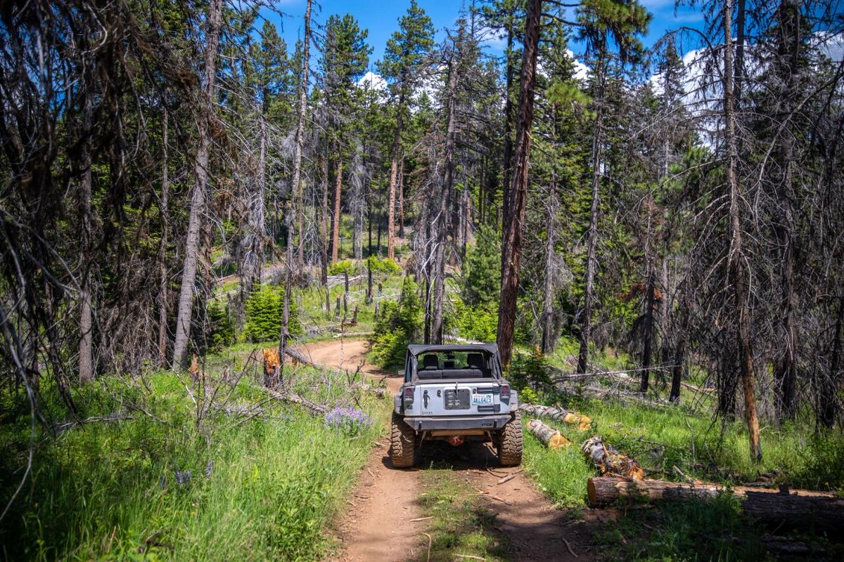 appleloveelly's tweet photo. 🇺🇸🇺🇸🇺🇸
#Wrangler #Toyota #Toyota4Runner #SUV #ModifiedCar https://t.co/1hz6ip7ooH