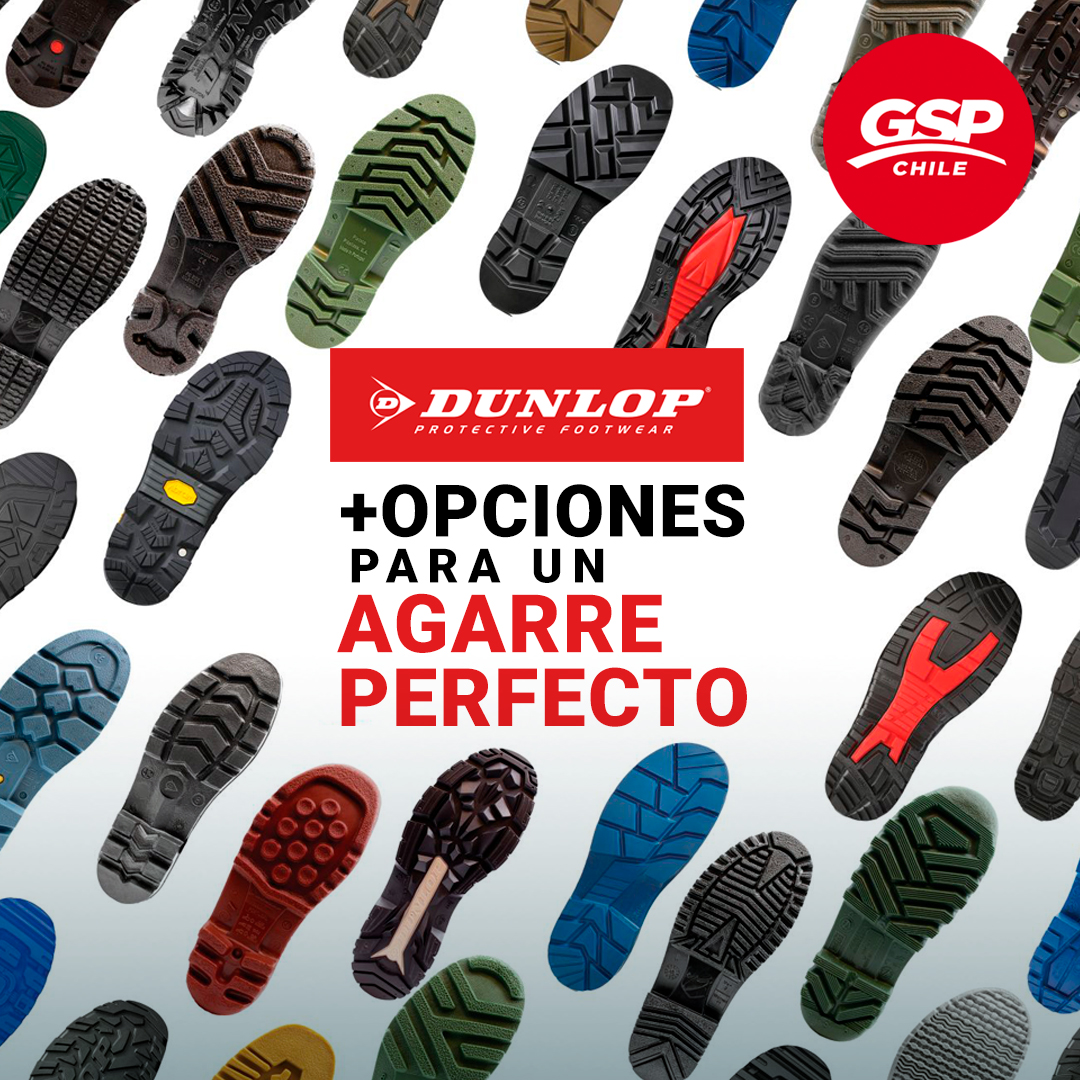 GSP_Chile tweet picture