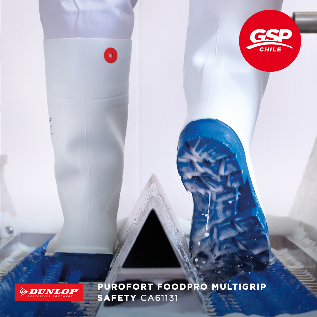 GSP_Chile tweet picture