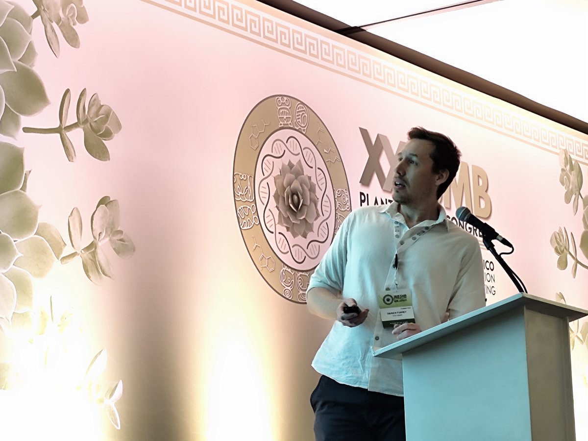 SMBPlant tweet media