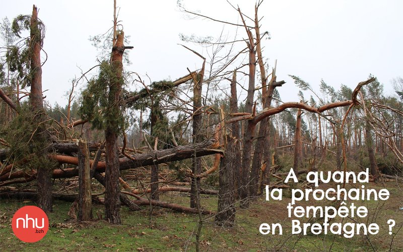 ✅Tempêtes en #Bretagne histoire sans fin 
#TempeteBenjamin va s'abattre sur notre pays, NHU Bretagne replonge dans les grandes tempêtes qui ont marqué notre histoire.

👉 nhu.bzh/tempetes-en-br…

#Tempête #Bretagne #Histoire #Climat #Océan #Météo  #Résilience <a href="/MeteoBretagne/">Météo Bretagne</a>