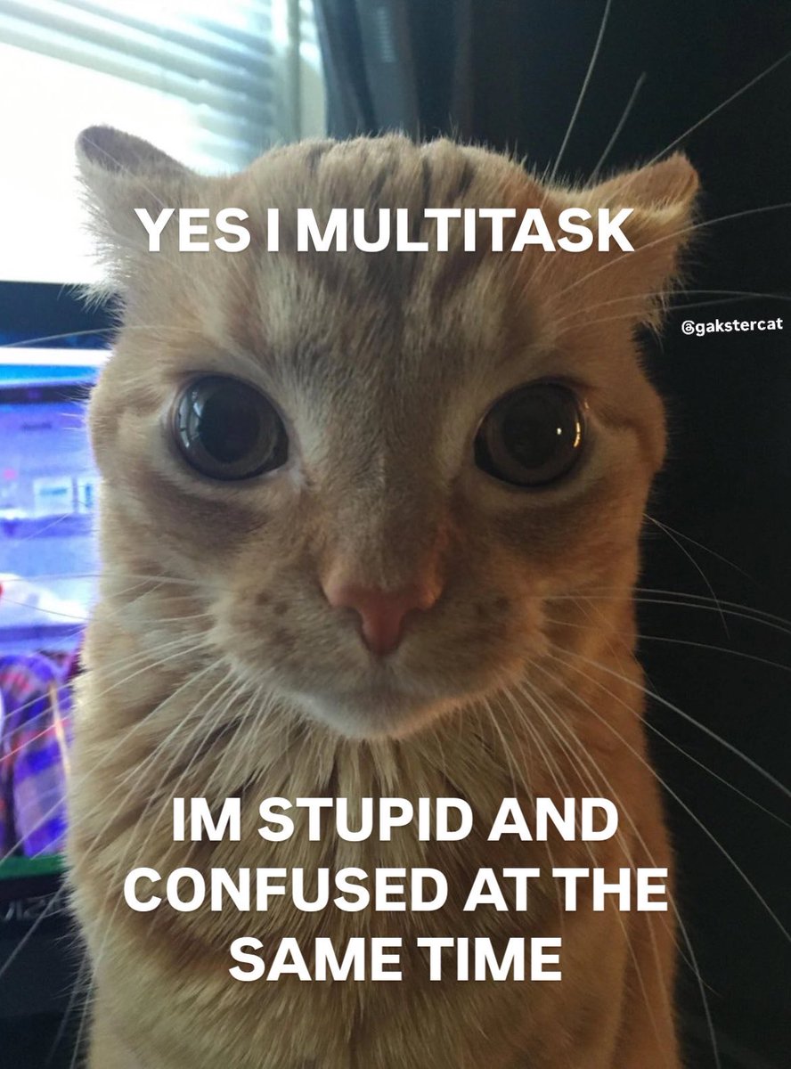 GaK (@gakstercat) on Twitter photo 