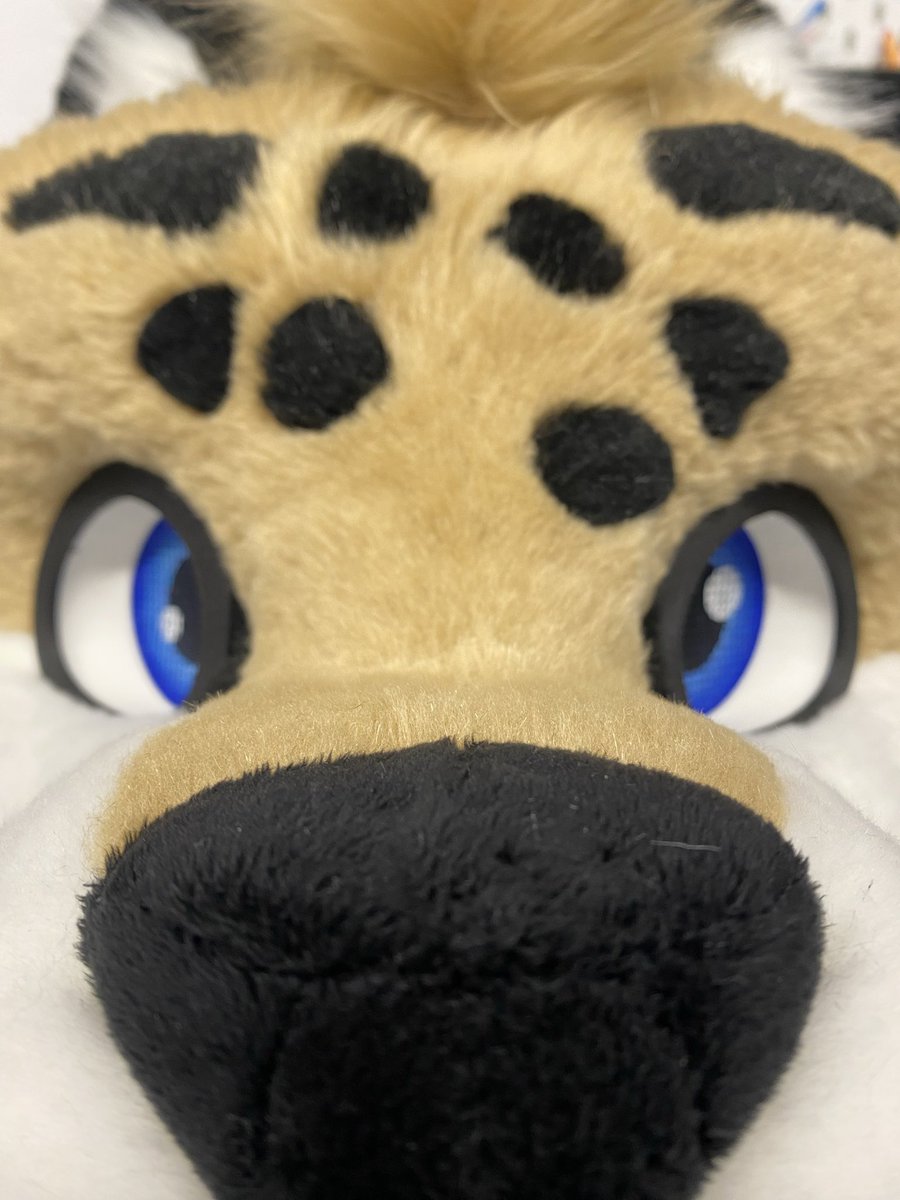 Fehlen nur noch die Zähne, dann ist der Kopf fertig 

Only the teeth are missing, when they are finished the head is done