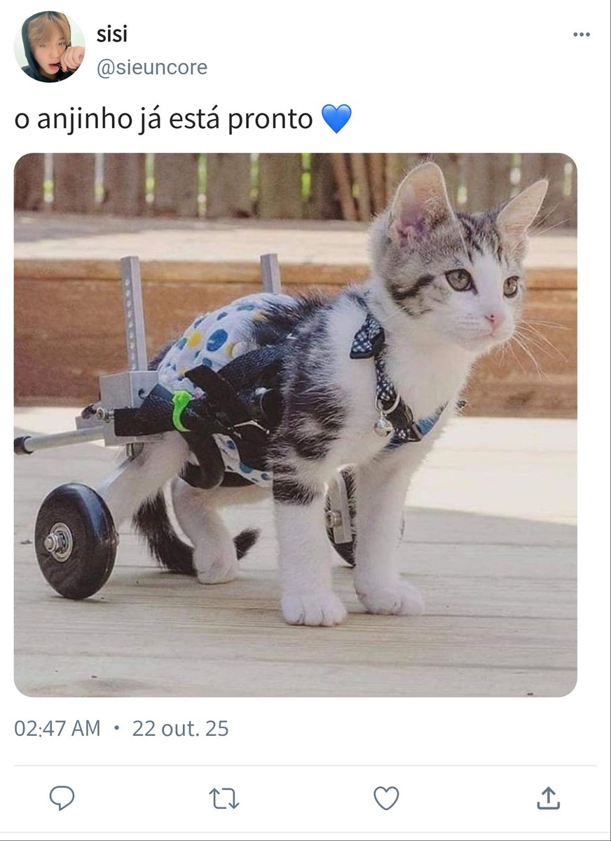 Tweet media one