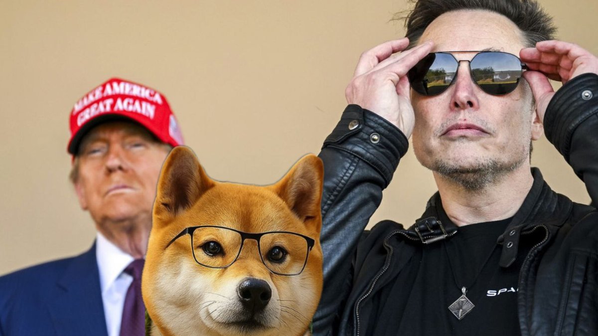 Make $WOOW Great Again !! 🐶

Trust yourself 🌹

#WOOW IS #WOOW