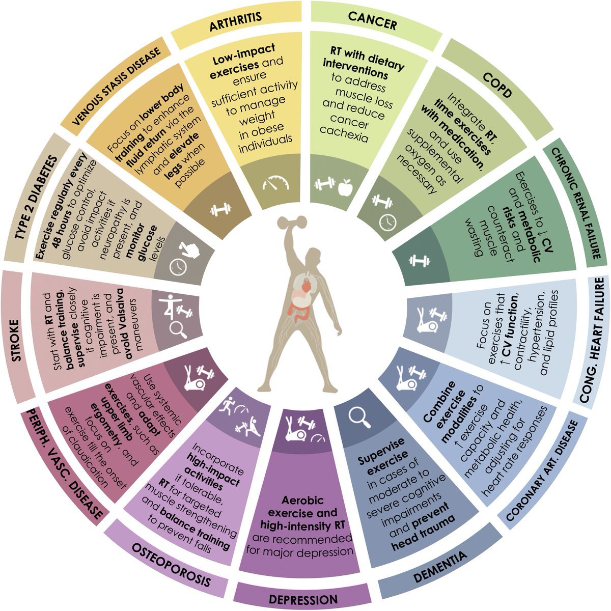 ROLE OF EXERCISE IN 2ary/3ary DISEASE PREVENTION
🏋️Targets syndromes of disuse
🏋️Decelerates the trajectory of decline
🏋️Myokines promote healthy anti-inflammatory, anabolic environment
🏋️Anti-atherogenic vascular changes
🏋️Joint stability
🏋️Cognitive function, mental health