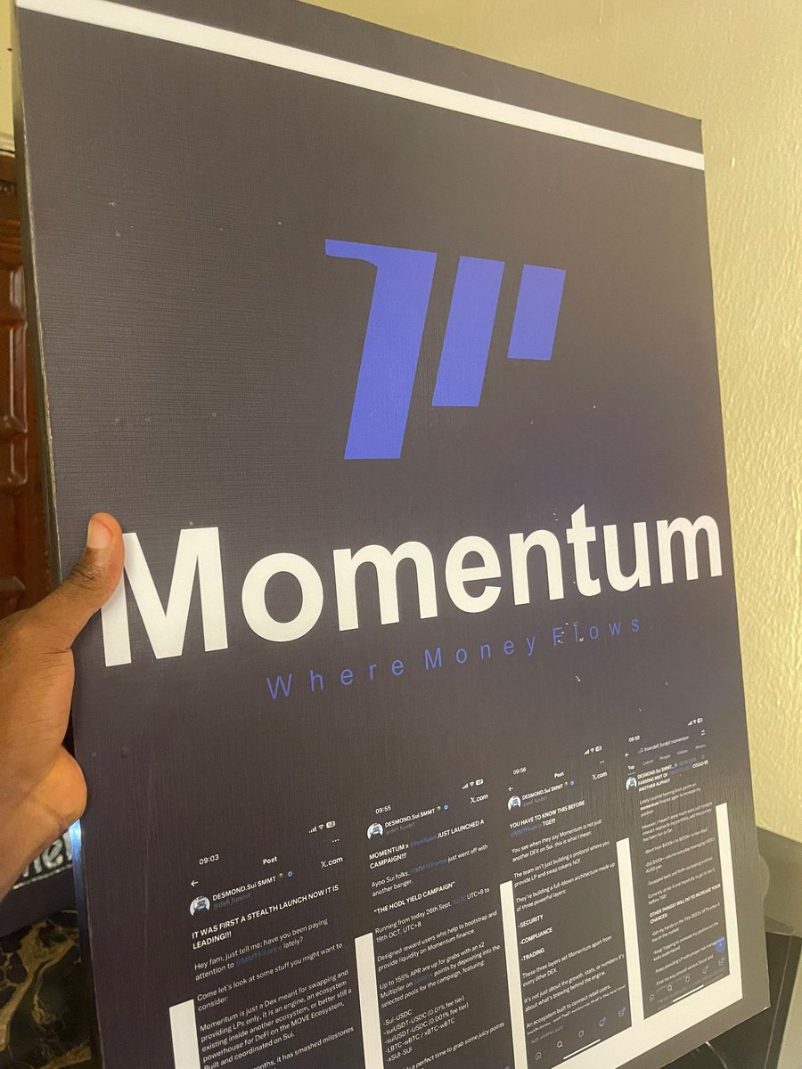 defi_funds1's tweet photo. WHEN THEY ASK ME HOW BULLISH ARE YOU ON @MMTFinance!!

POV: "nothing to see, just completed my KYC on @buidlpad, and repping what I love on Sui."

Sentiment on Sui is kinda weird, but I choose bullish🥺👀!!!

gMMT fam👌.