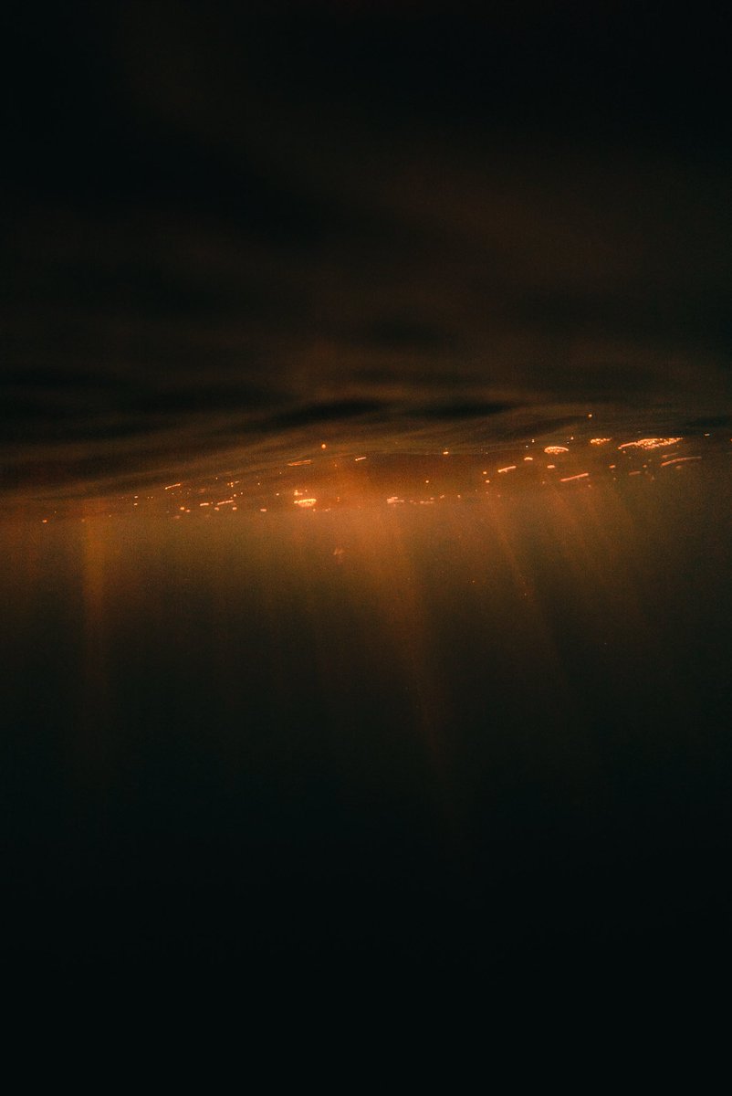 swimming with a camera in washington state