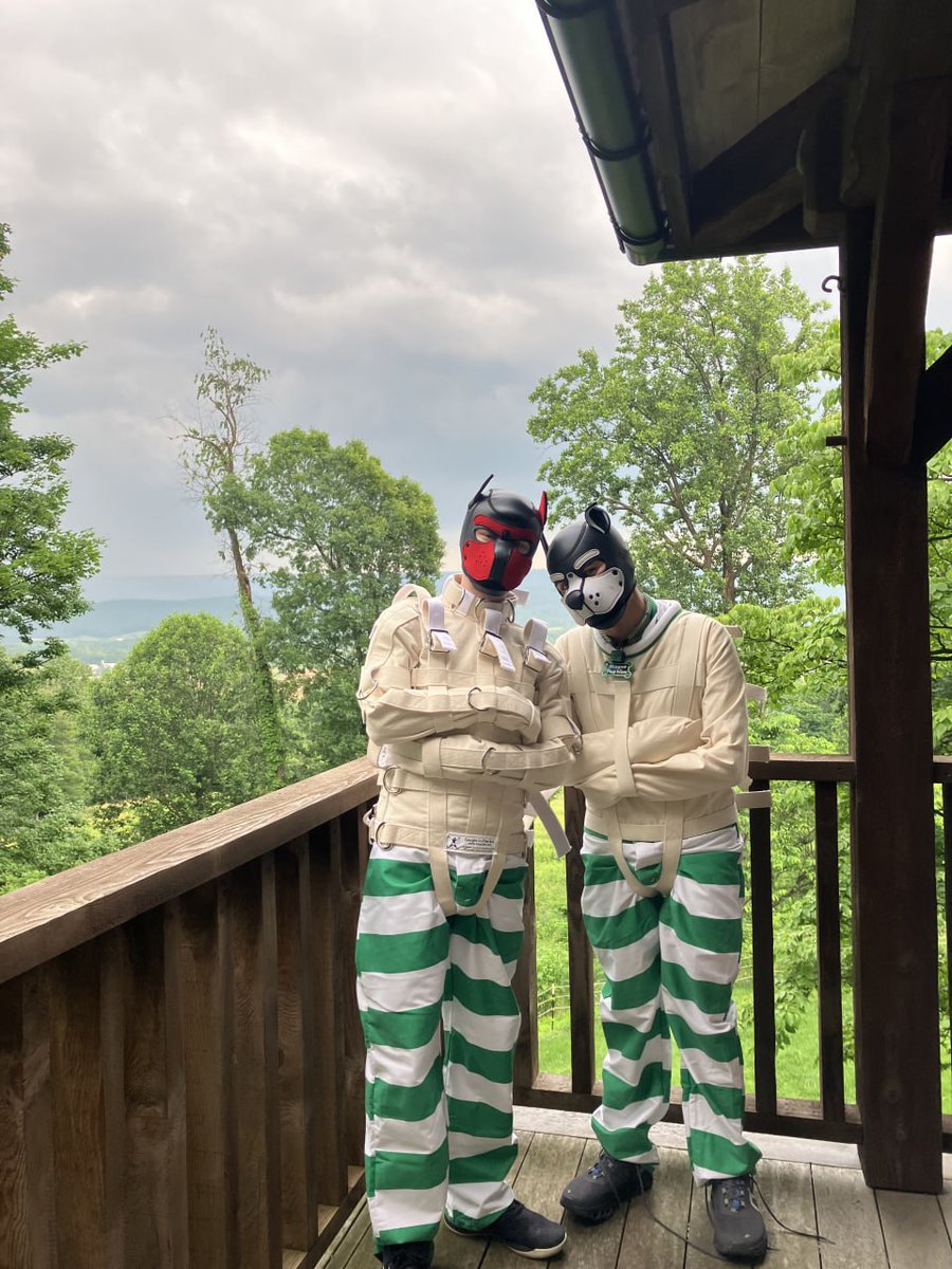 Moments before I explain to <a href="/Pup_SJ/">SJ the Pup</a> my plans to break fwee of my Carrara chastity belt and get all the stickies 😈😈 muwahahaha

⛓️: rotkaepple (🟦☁️)