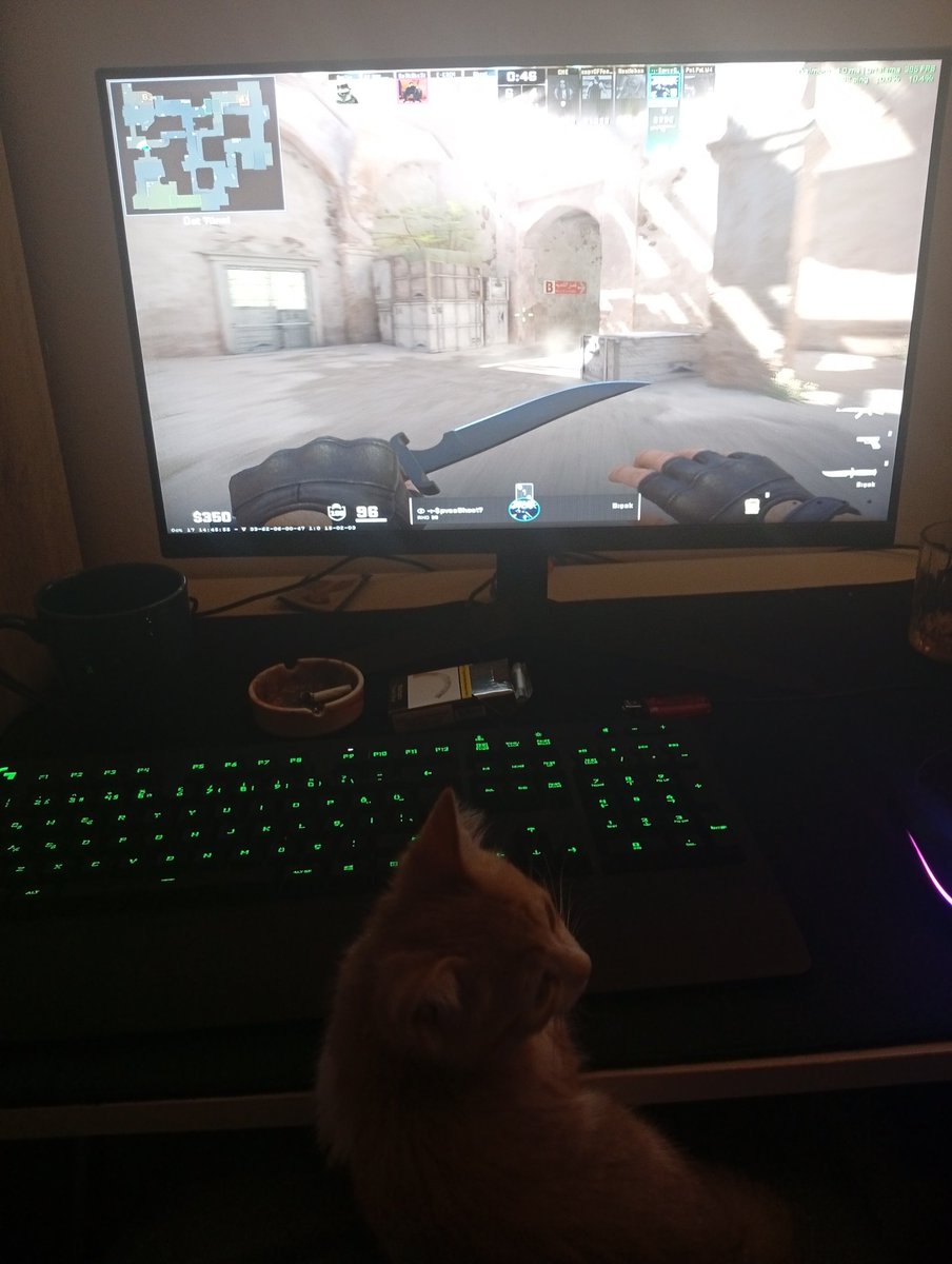 Ben savaşıyorum o da izliyor xd