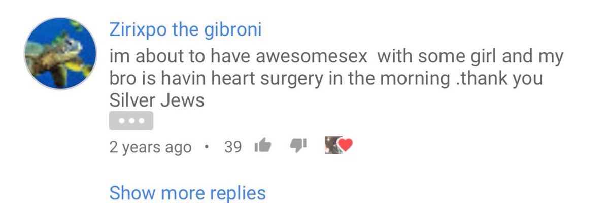 My contribution to Silver Jews discourse: probably my favorite YouTube comment ever