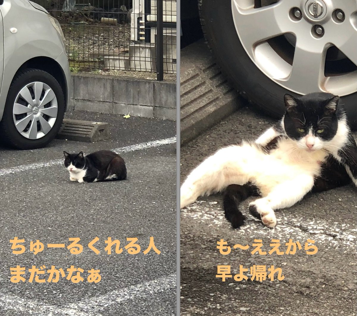 yuki.m (@_yuki_26966980) / Posts / X