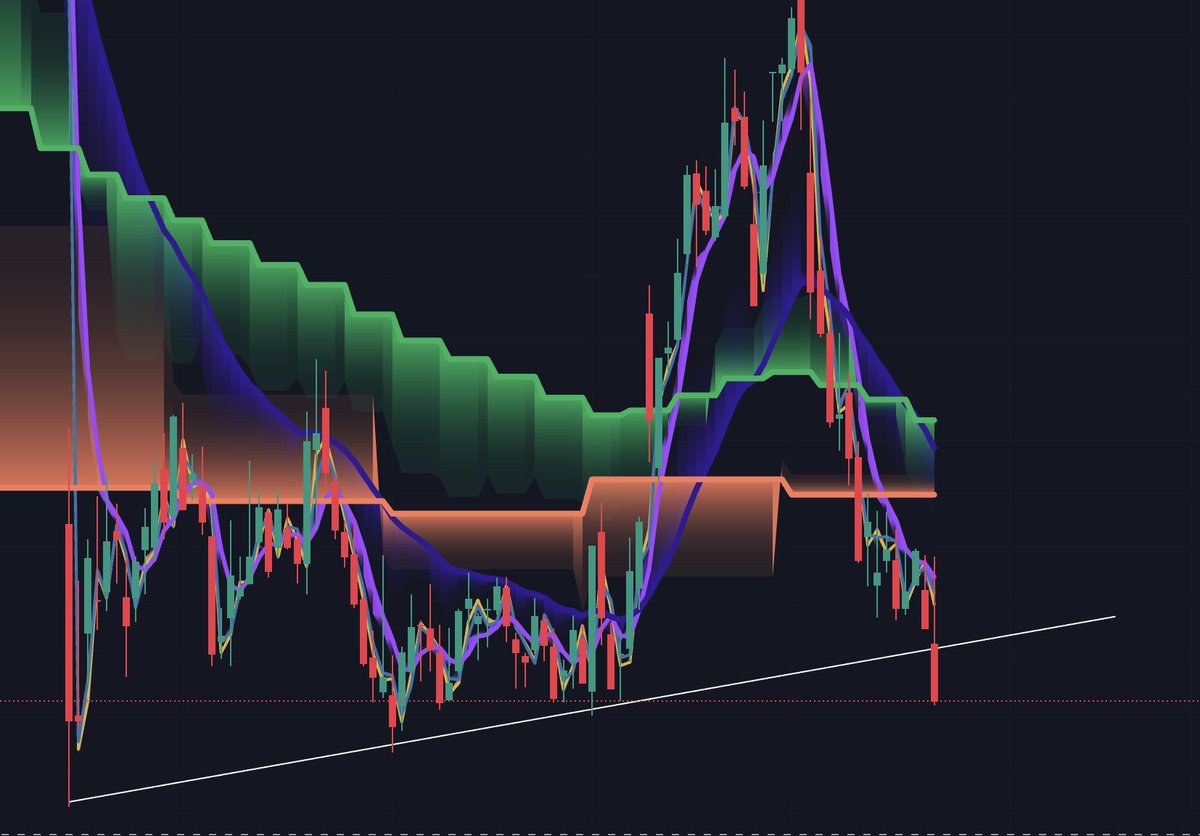 Gavin May tweet media