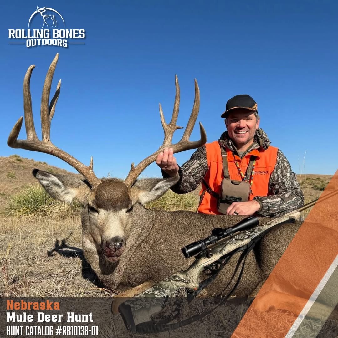 RBO_Mike's tweet photo. We’ve got 4 mule deer hunts featured this week with openings in 2026!

Mule deer opportunities on voucher or low draw points are getting more difficult to find, but we have you covered with some great outfitters.

If you’re looking for a good mule deer hunt reach out for help! https://t.co/5mWMqHZYpn