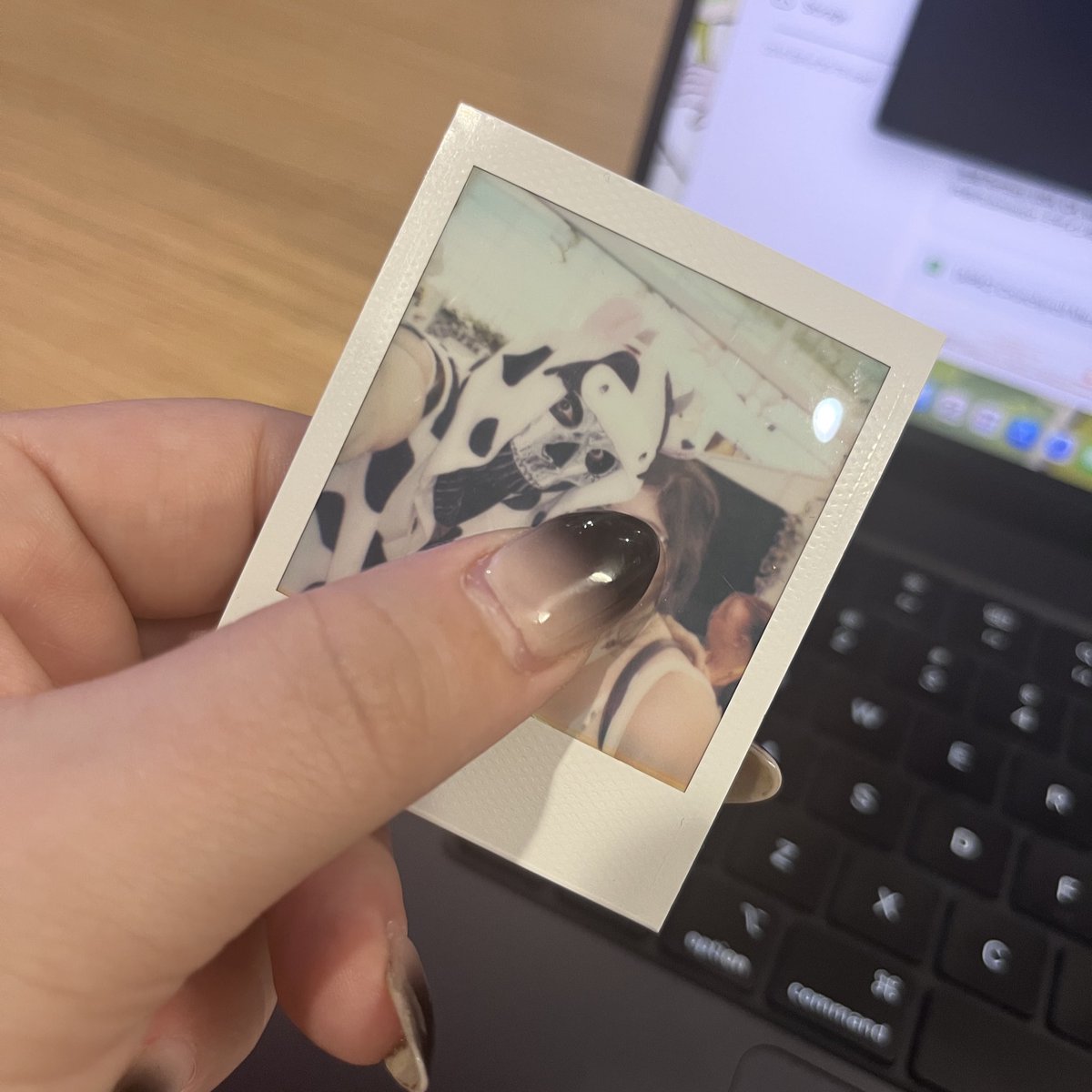 ezenaldarcen's tweet image. @CircuitTheRobot is one of the nicest people and this is my new fave Polaroid