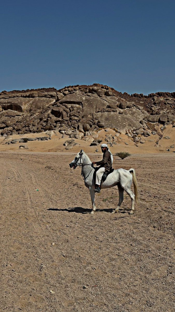 fitsbyaf's tweet image. Strength without arrogance, beauty with discipline 🐴