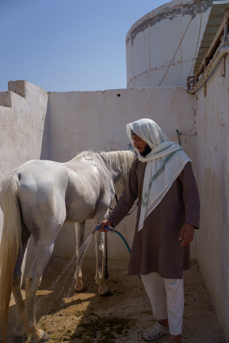 fitsbyaf's tweet image. Strength without arrogance, beauty with discipline 🐴