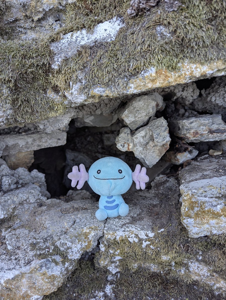 BerryWooper's tweet image. Hello!