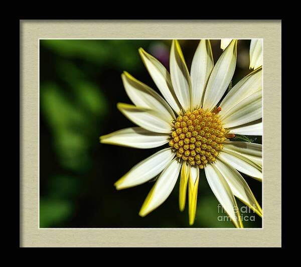 DMSCameraArt's tweet image. “Trust is built through small acts of consistency and care.”

#Trust by  #ChrisStapleton

youtu.be/7dbNc22Jgzg
Though we jump through hoops and dance on wires 
Walk on broken glass and play with fire 
Though we&apos;re blindfolded when we turn on the light 
I know everythin&apos; will…