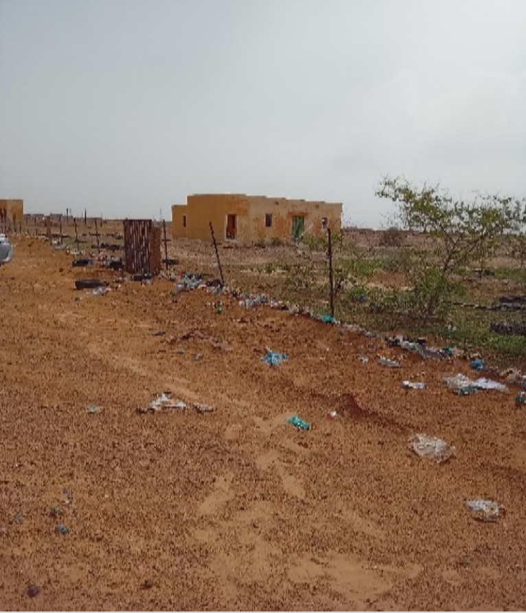 Ruralities52's tweet photo. 🍏 The Badilly Cooperative in Aleg unites 100 women producing Toogga oil &amp; soap from the local Teichett tree. 🌿 Though production is seasonal, their work shows how women’s cooperatives drive sustainable value creation.

🔗 Read more: https://t.co/CUsLiAlrEp

#RURALITIES https://t.co/AnIQoHhAvD