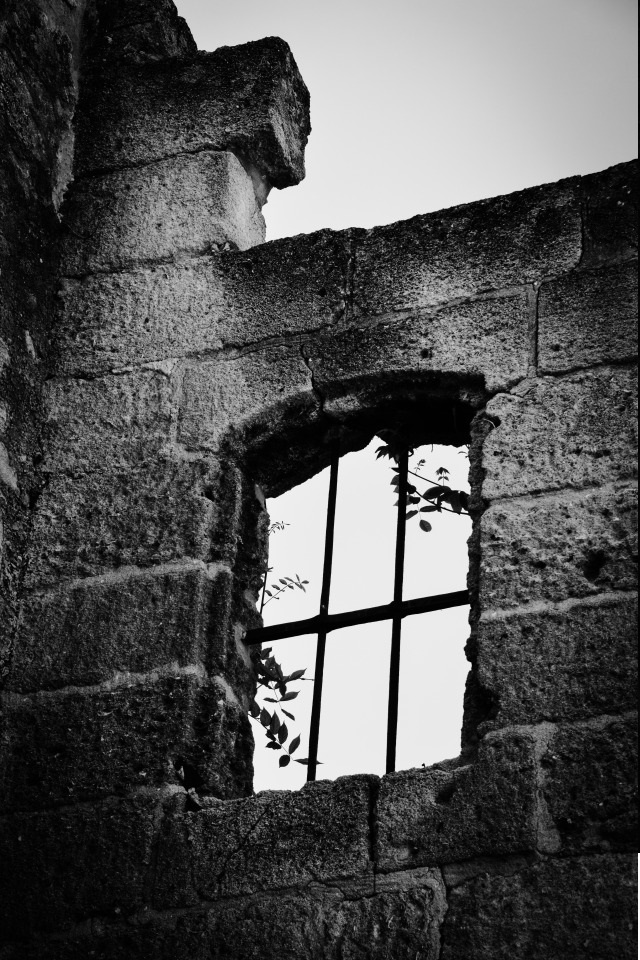 CWC_Company's tweet image. Abandoned homes and neglected windows inevitably seem haunted, regardless of whether there are actually spirits present...