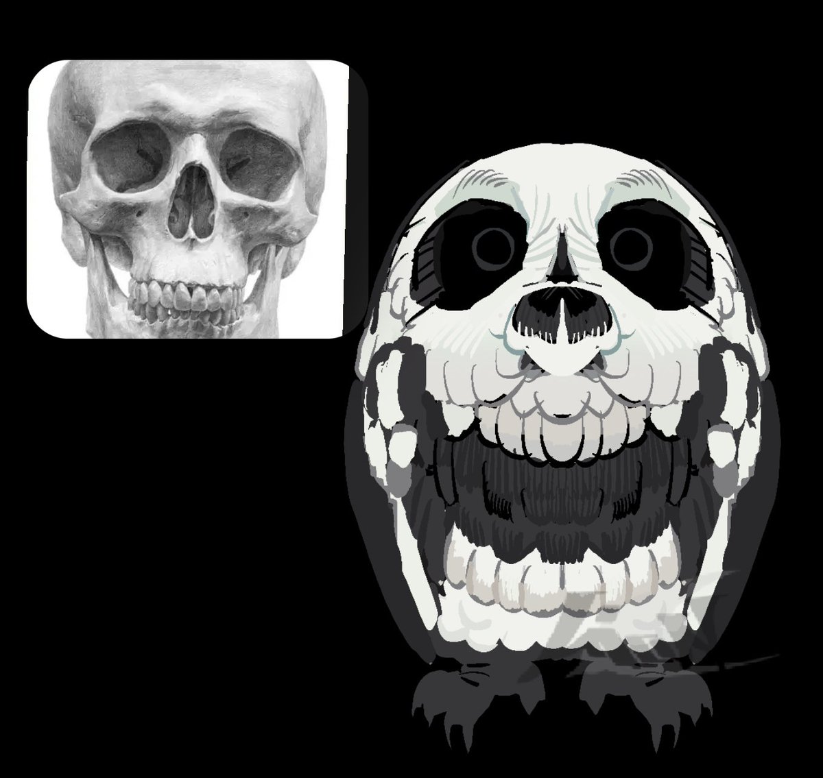 lion020912's tweet image. 骷髅猫头鹰
oc