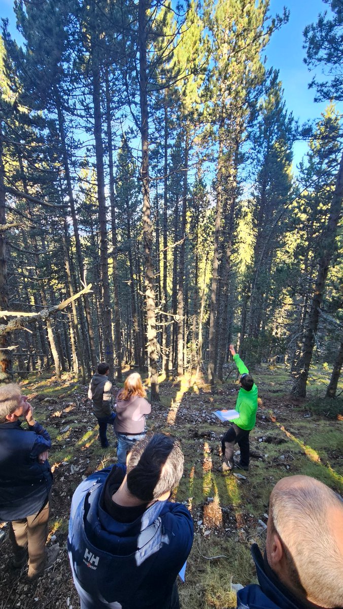 marcdelparc's tweet photo. 🌲 Avui hem participat a la jornada del projecte #BioforPiri sobre silvicultura naturalística en pi negre.
Sens dubte, és la millor tècnica per compaginar la producció de fusta amb la conservació de la biodiversitat. Una gestió forestal que hem d’impulsar decididament als Parcs. https://t.co/bwidj3zbgL