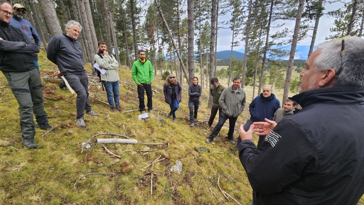 🌲 Avui hem participat a la jornada del projecte #BioforPiri sobre silvicultura naturalística en pi negre.

Sens dubte, és la millor tècnica per compaginar la producció de fusta amb la conservació de la biodiversitat. Una gestió forestal que hem d’impulsar decididament als Parcs.