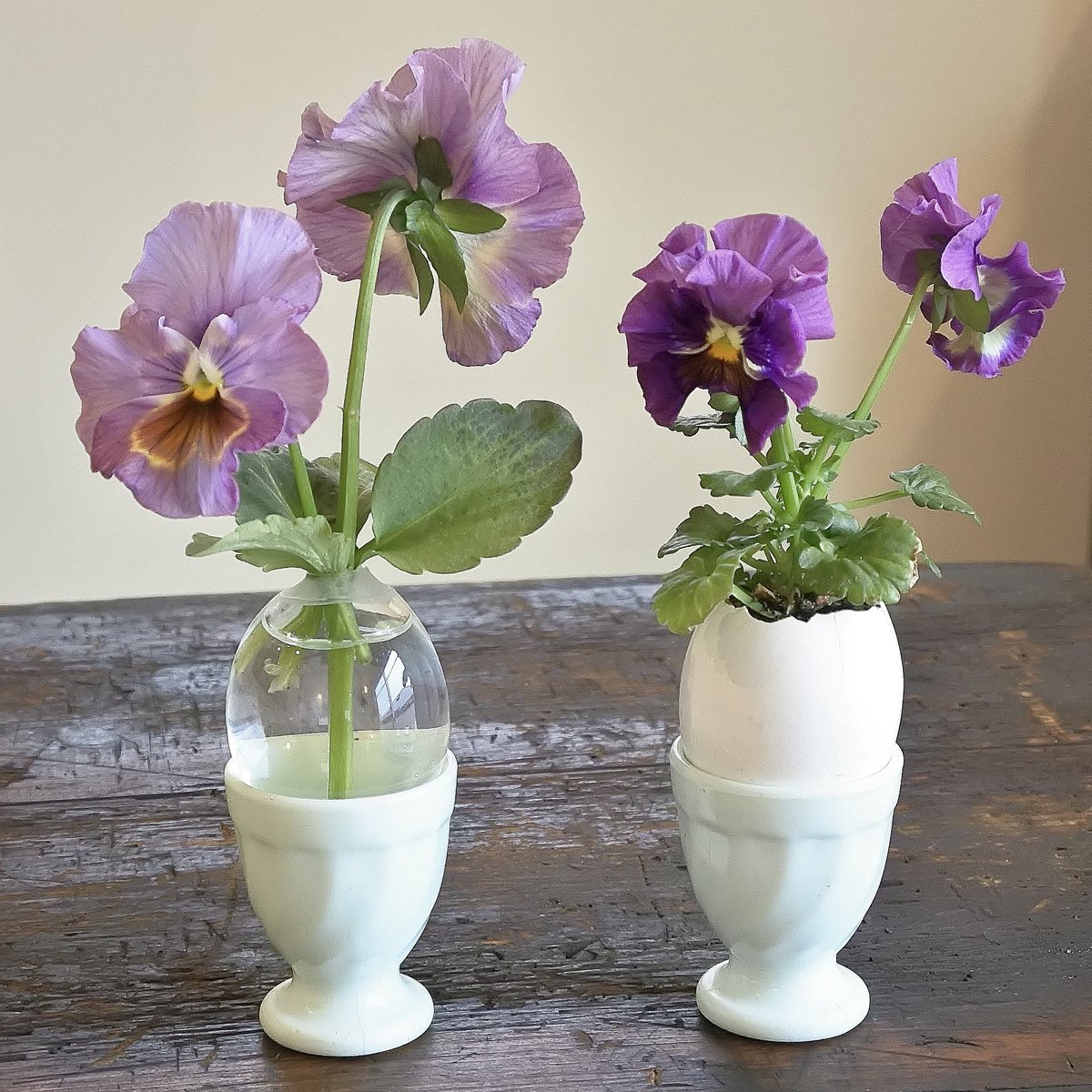 昔の写真を見ていたら、パンジーの草もの盆栽(？)を発掘。当時卵の殻に種まきや芽を植えて小さく育てるのに嵌っていた。ビクトリアンの卵からお花が咲いている絵から着想、可愛くないですか。左は普通に育てた切り花。日記に11月初めに芽を植えて2月には咲いたとあり。簡単なので試してみて下さい。