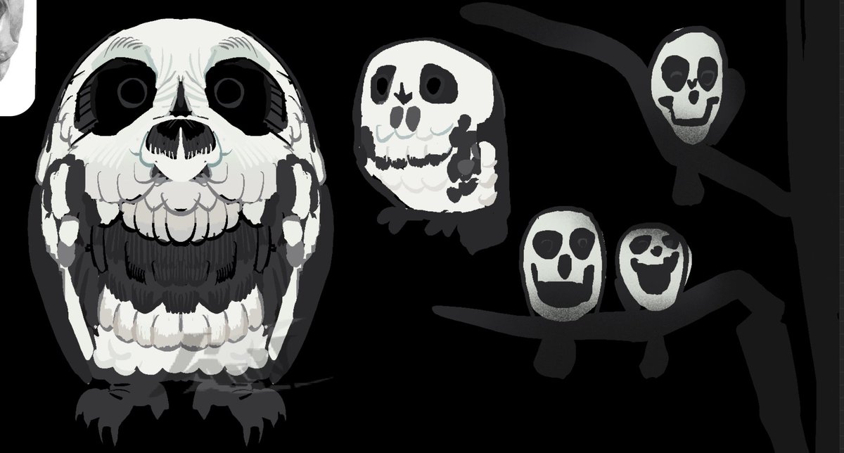 lion020912's tweet image. -树枝上硕果累累-