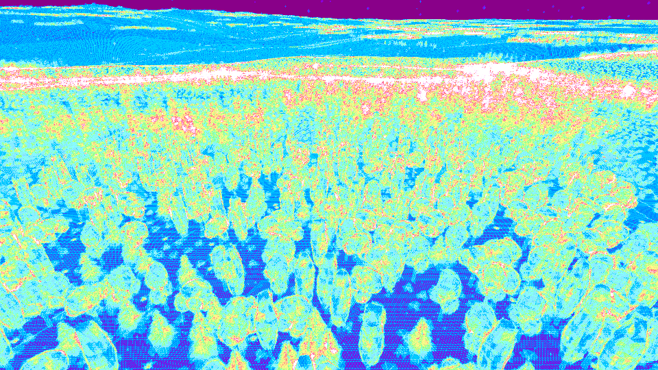 Nikita Lisitsa tweet media