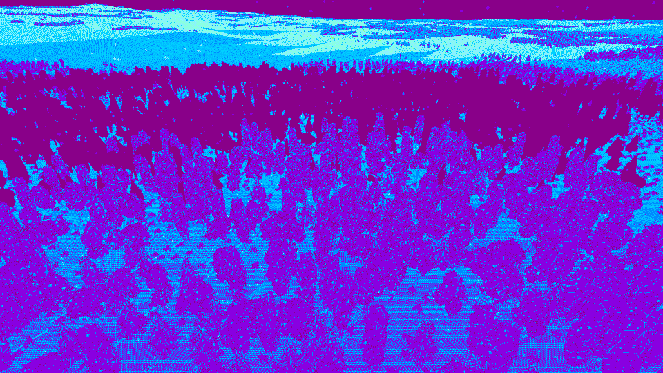 Nikita Lisitsa tweet media