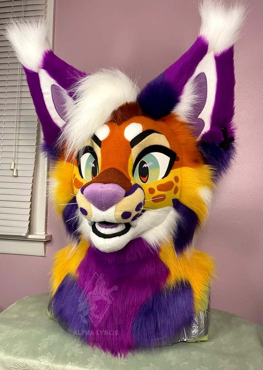 The auction for this lynx is now live until 2PM on Saturday (Eastern time)! 👀