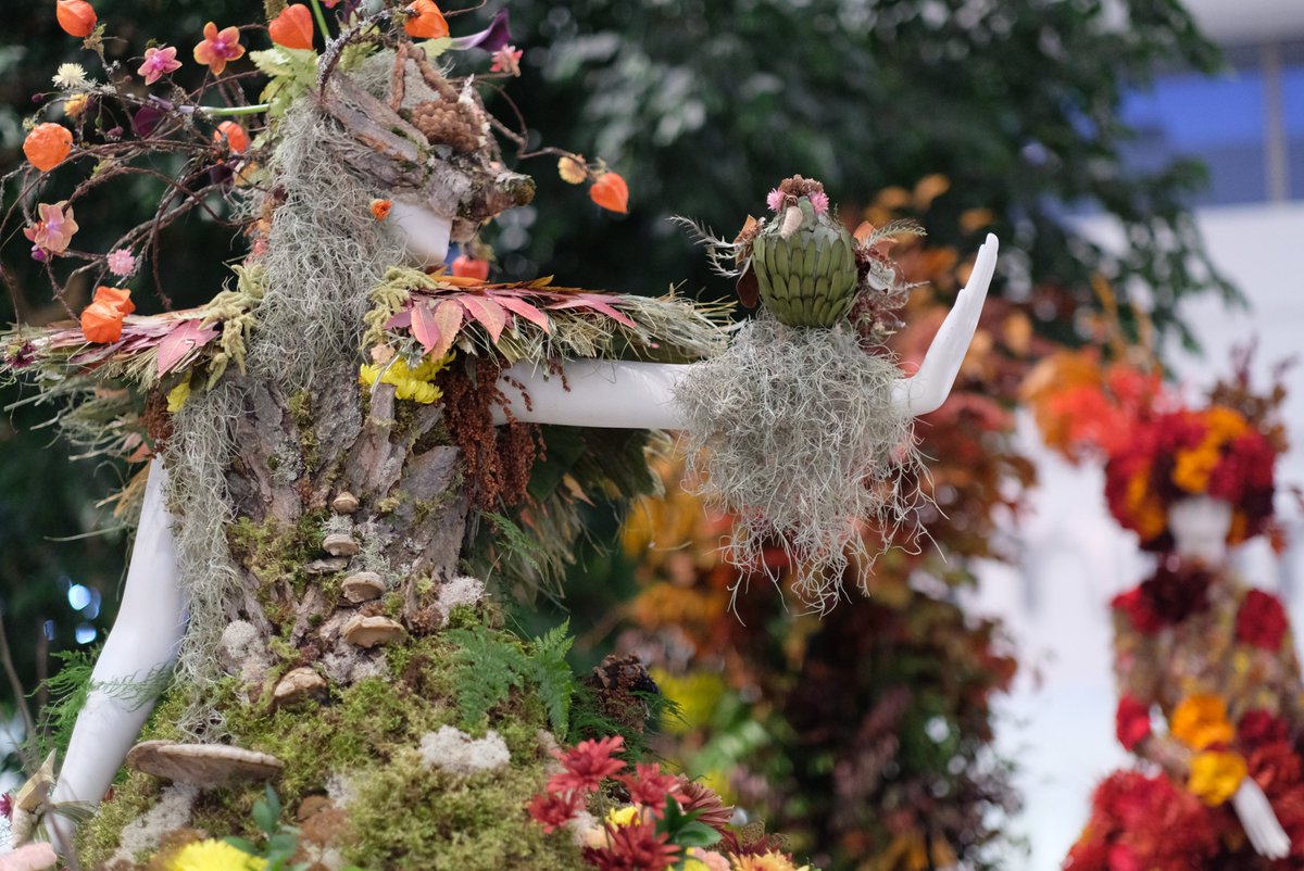 DLVisionMode's tweet image. Magnifique exposition @fleursdevilles AUTOMNE présentée à @PlaceSteFoy jusqu&apos;à dimanche à voir !
#FleursdeVilles #Quebec #Automne #DLVisionMode 

dlvisionmode.com/2025/10/22/mag…