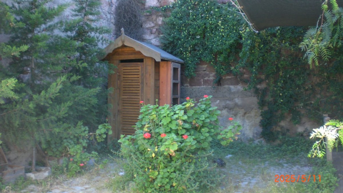 ilk kadin peygamber tweet media