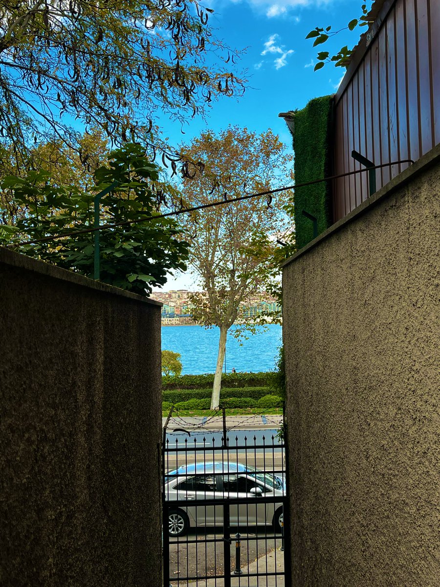 Söz ettim mavilere içimdeki yaralardan…