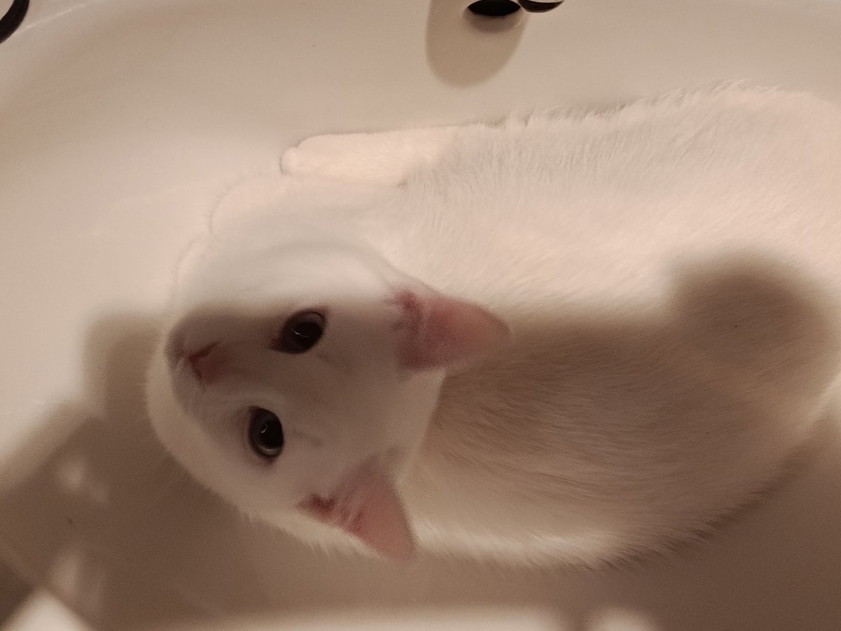 Заходишь в ванную помыть руки, а там это, ваши действия?