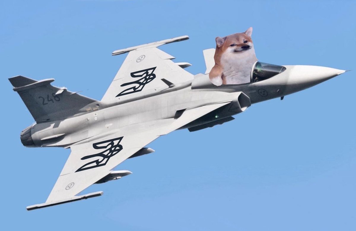 CanadianKobzar's tweet image. Just gripens